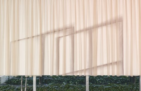 SOON_83 - Amelia Woroszył | fot. Maciej Jędrzejewski