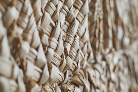 Zofia Kusch – Gardine