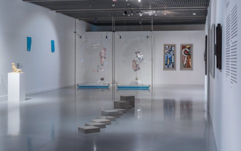 Sposoby widzenia. Kolekcja Muzeum Sztuki w Łodzi - dokumentacja wystawy