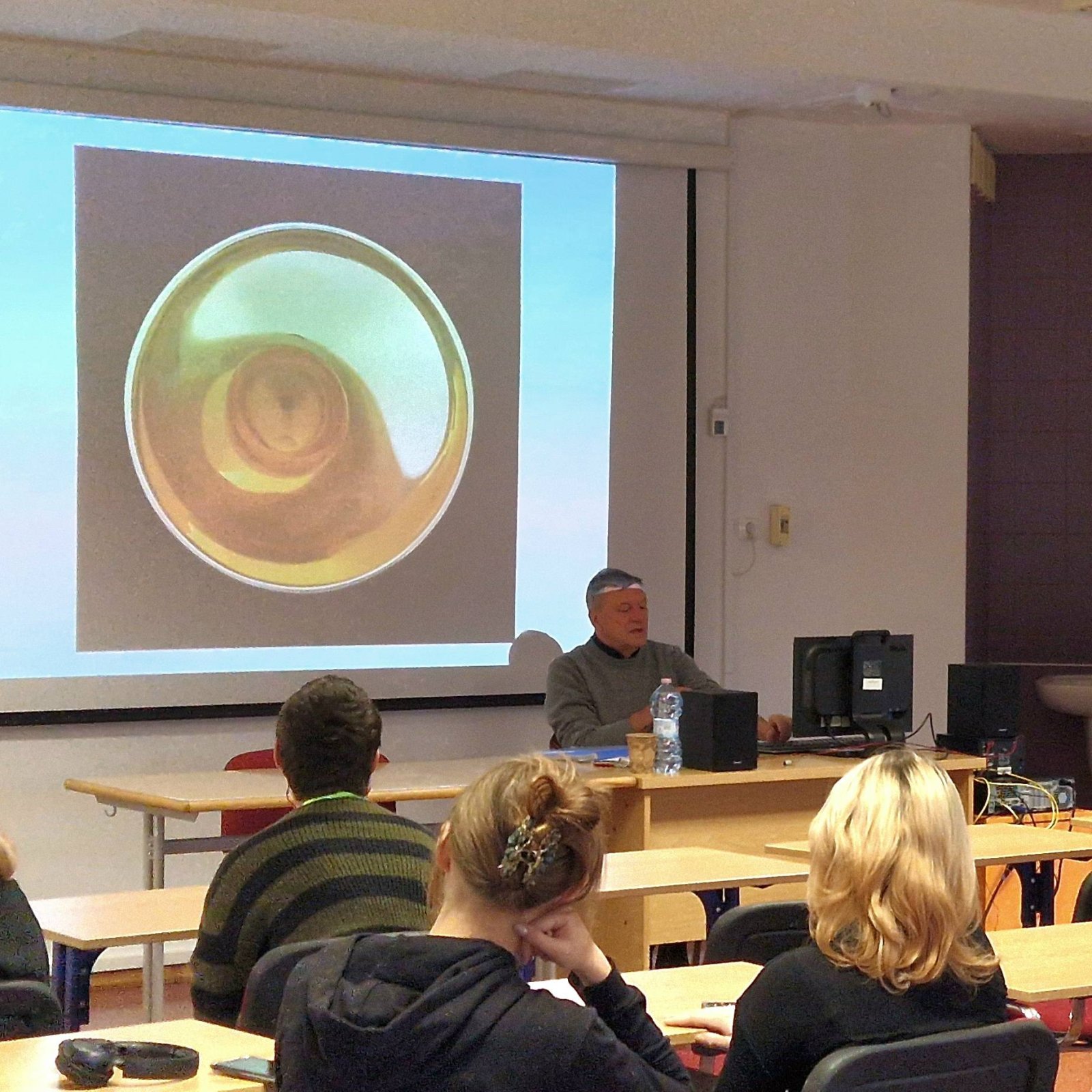 starakfoundation.org