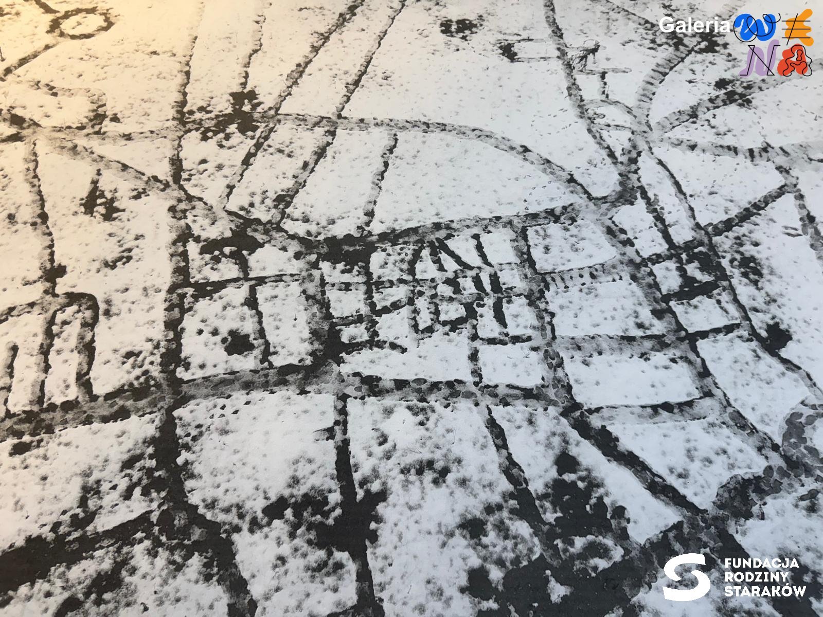 starakfoundation.org