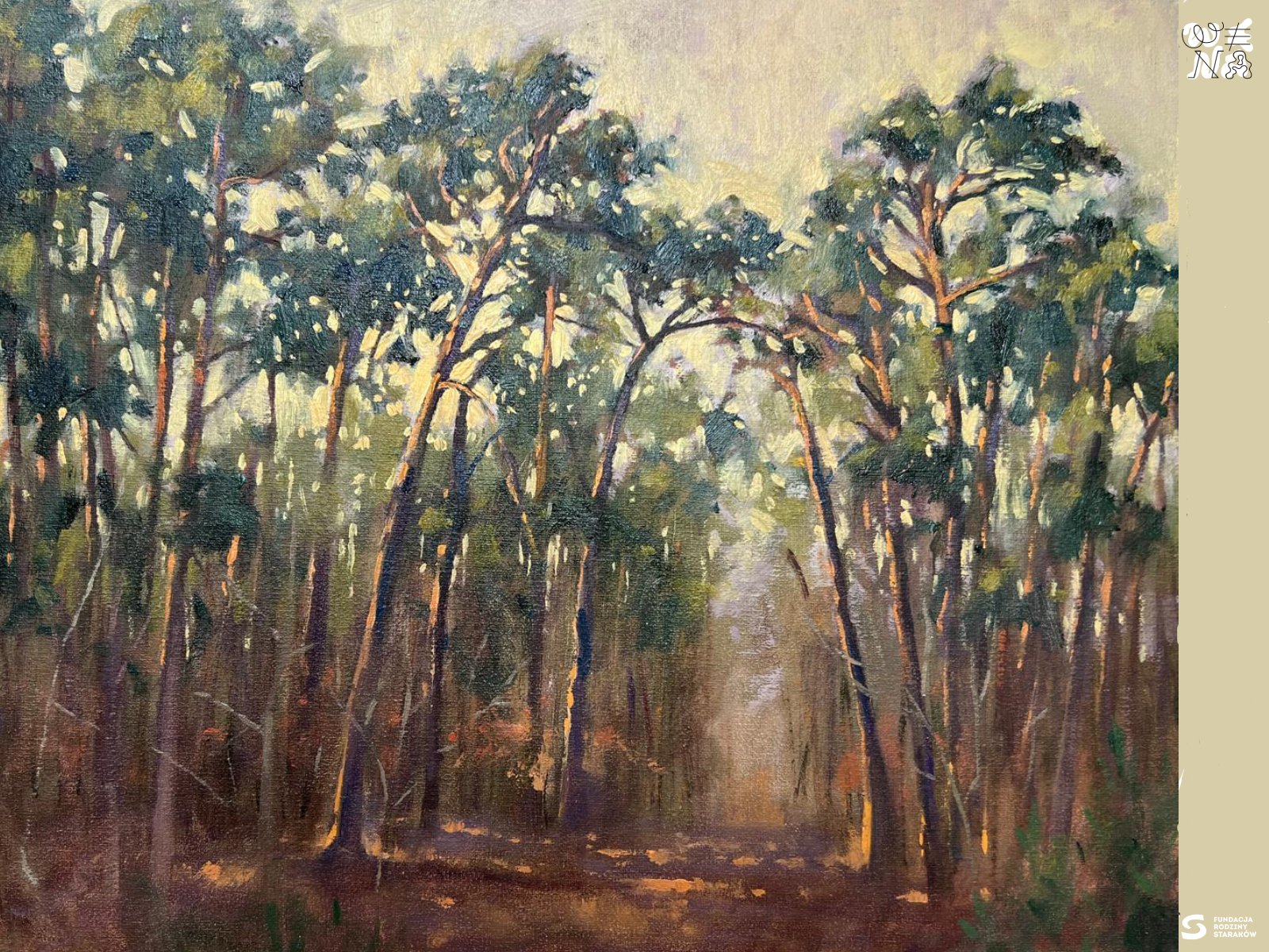 starakfoundation.org