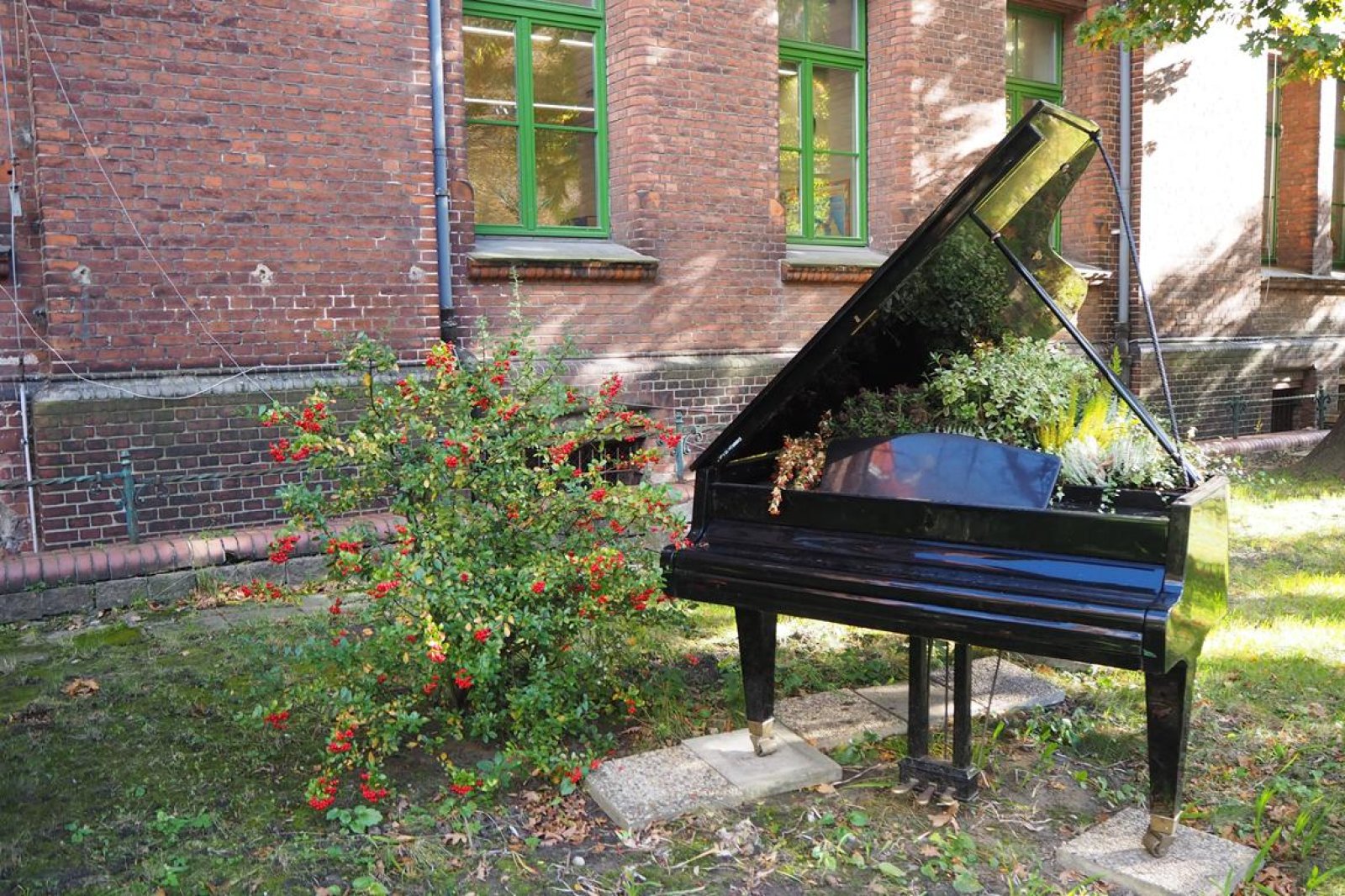 starakfoundation.org