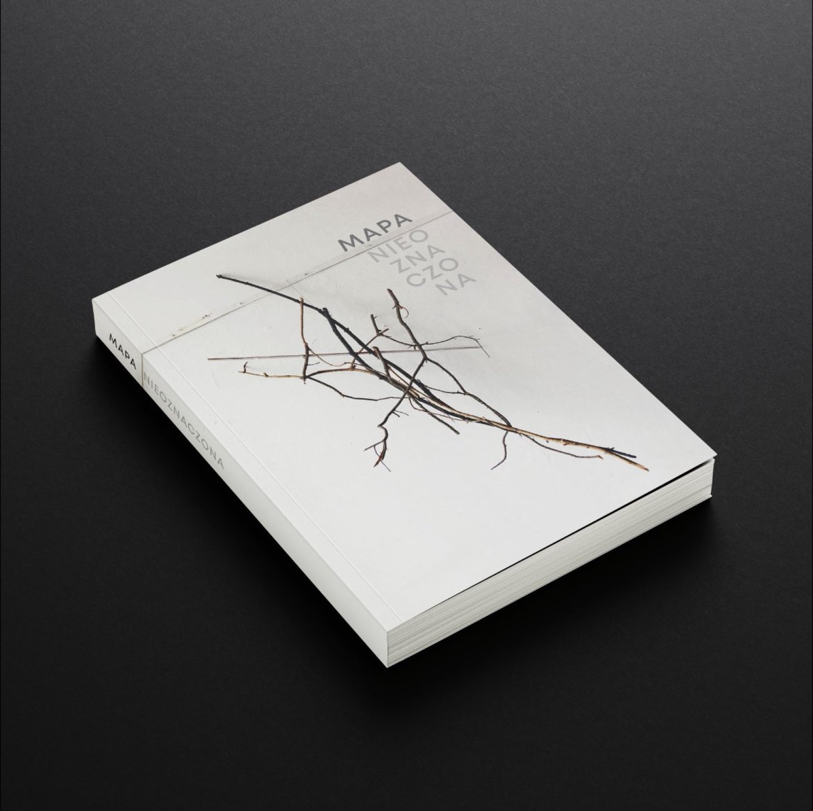 starakfoundation.org