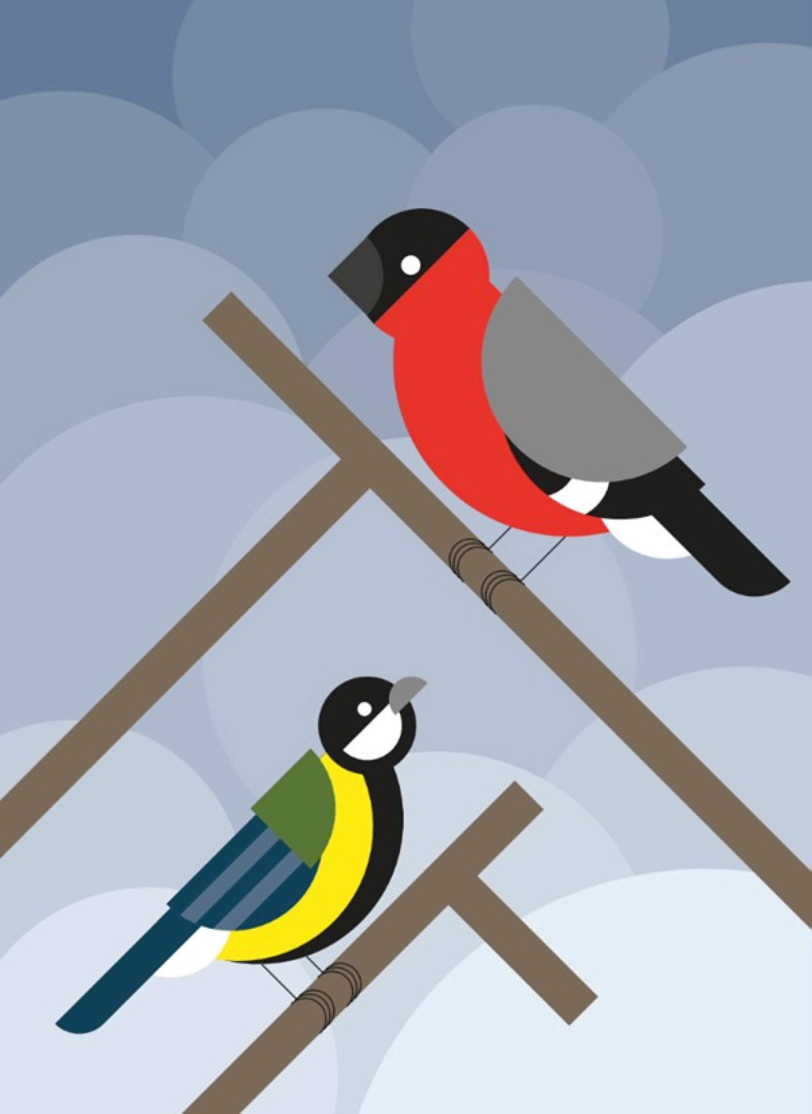 starakfoundation.org