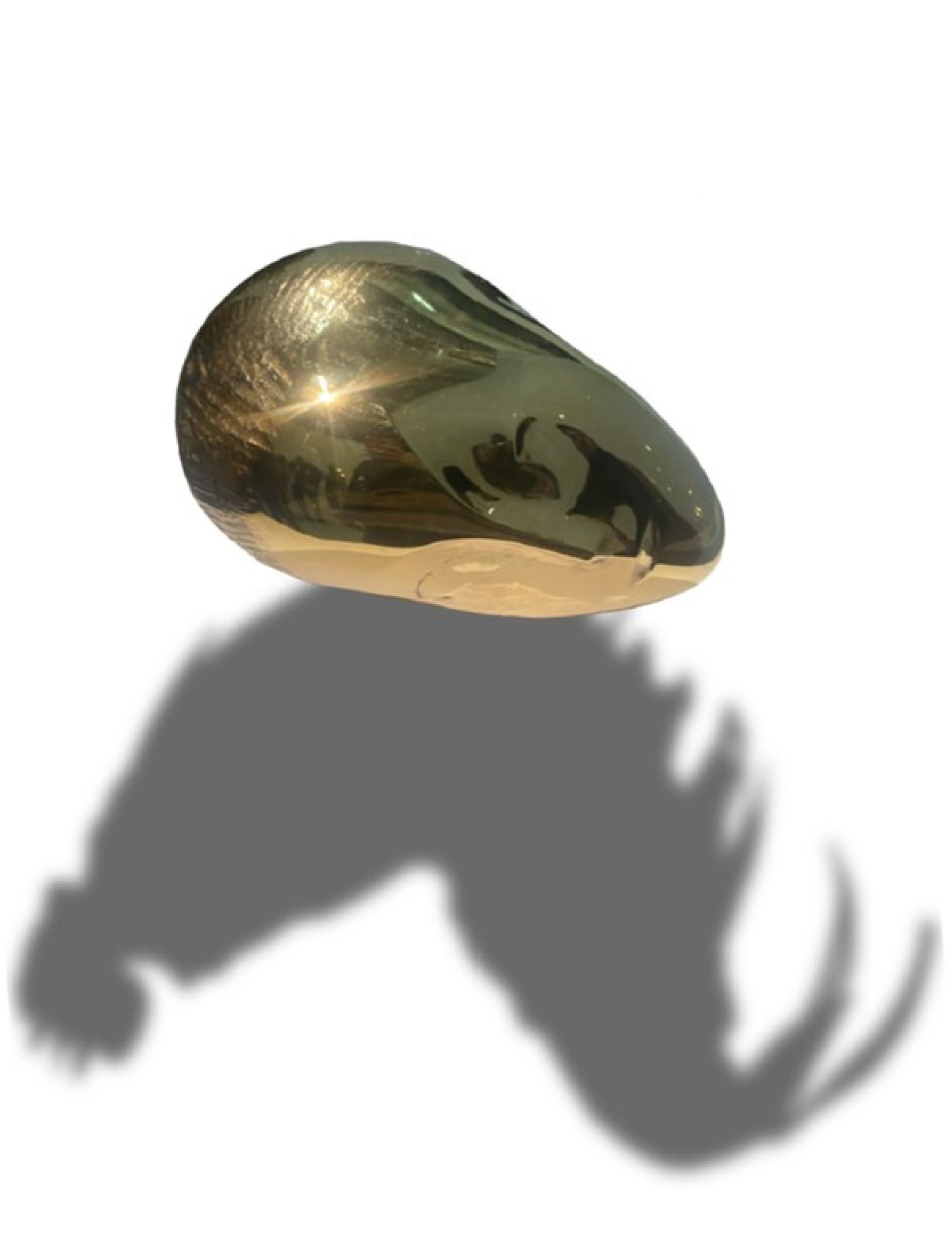 starakfoundation.org