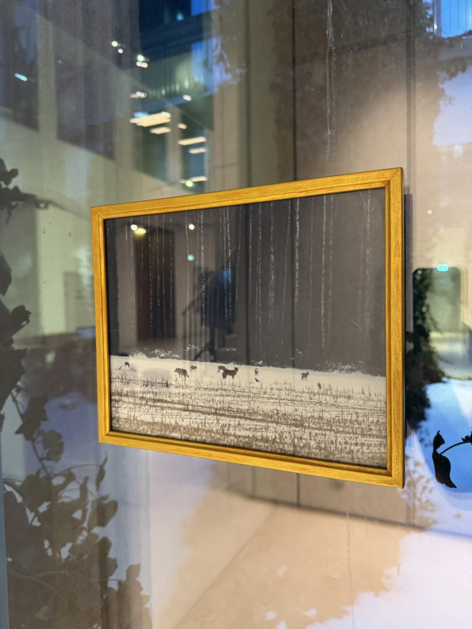 starakfoundation.org