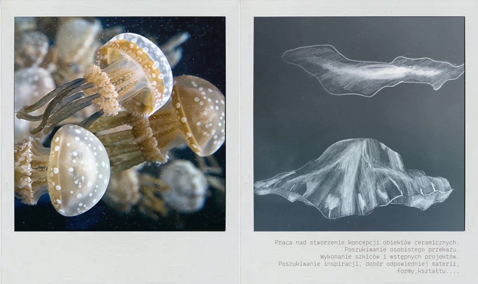 starakfoundation.org