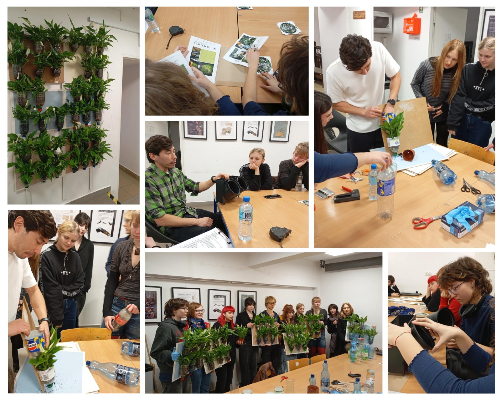 starakfoundation.org