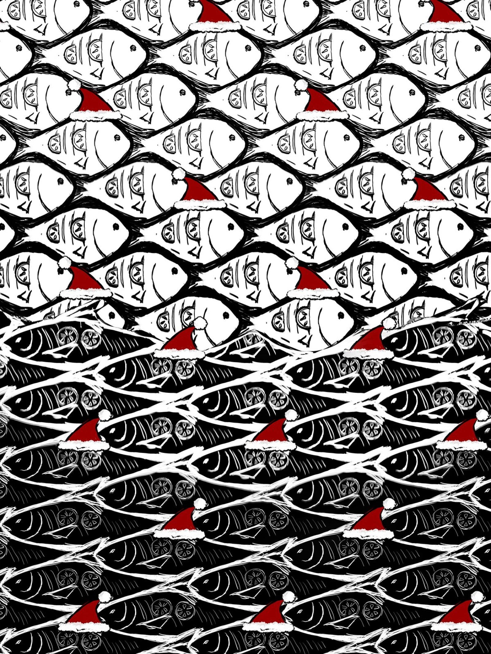 starakfoundation.org