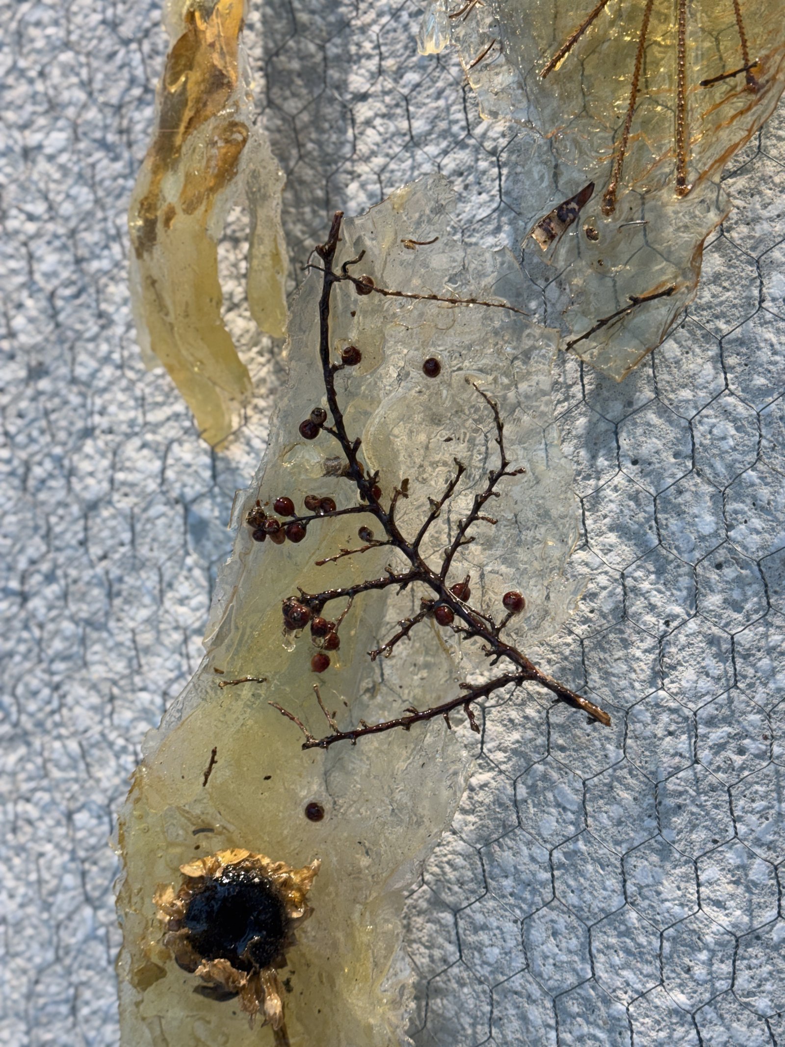 starakfoundation.org