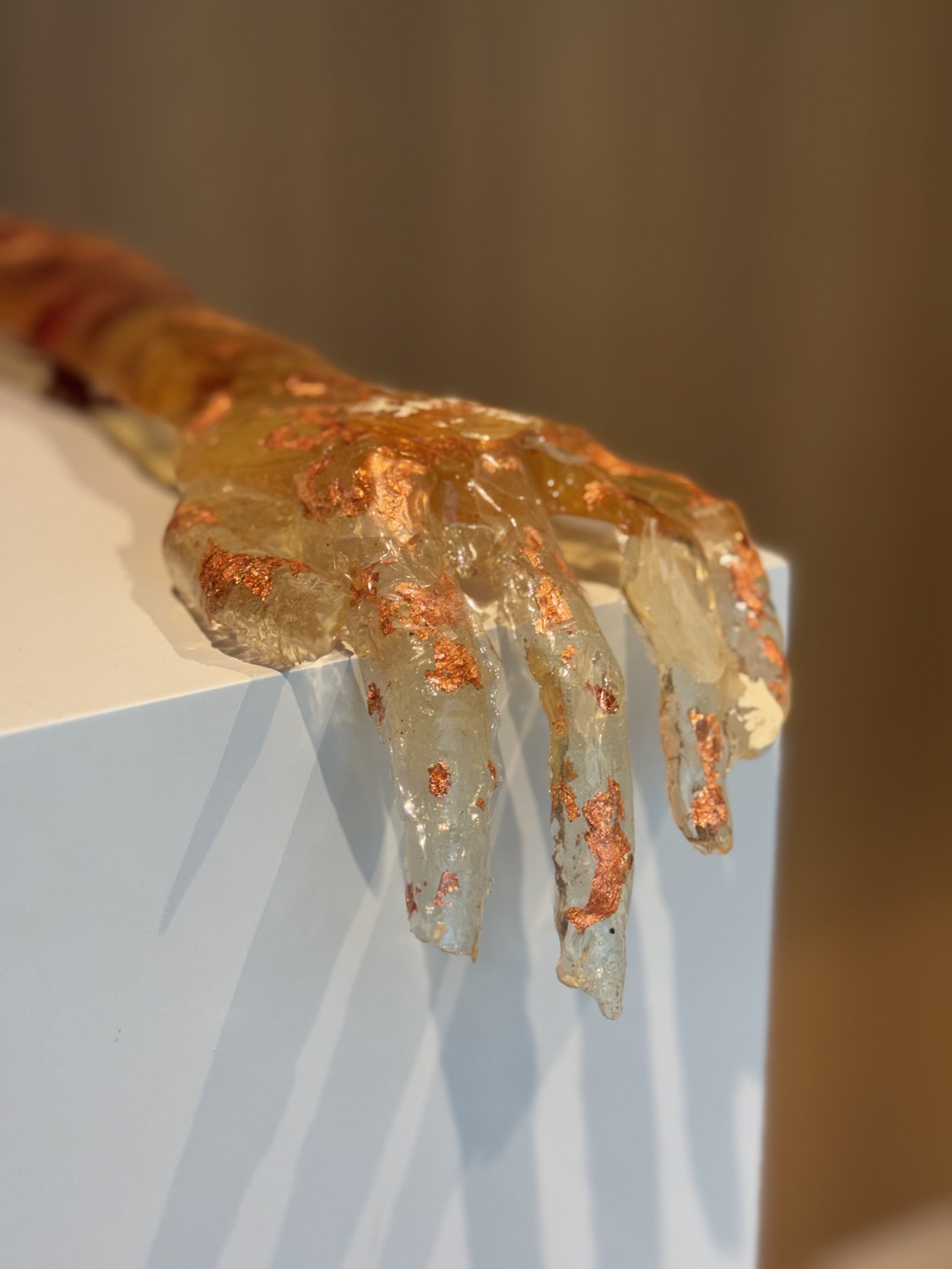 starakfoundation.org