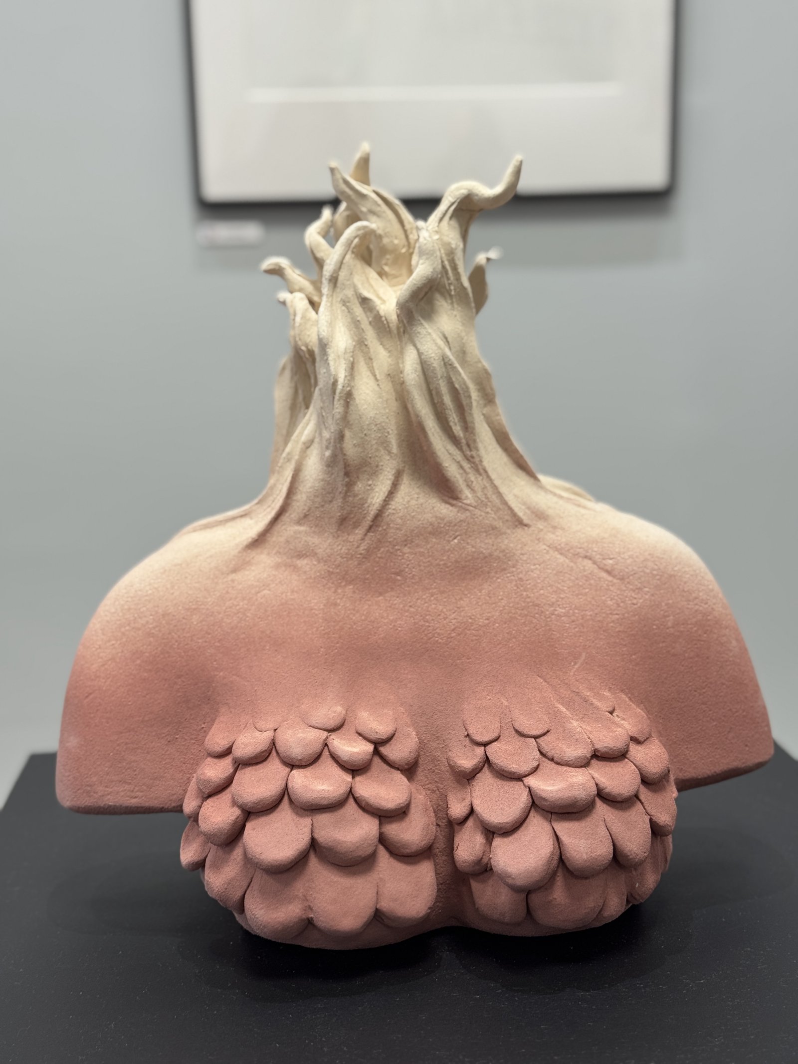 starakfoundation.org