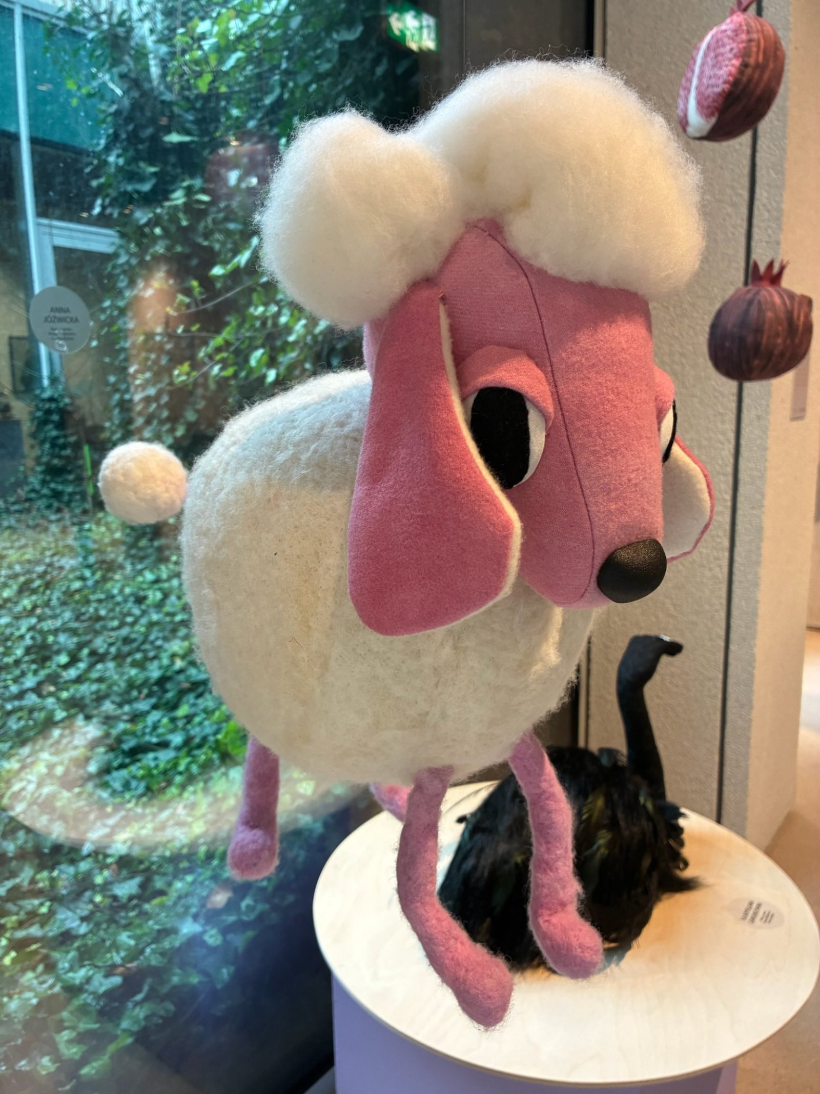 starakfoundation.org